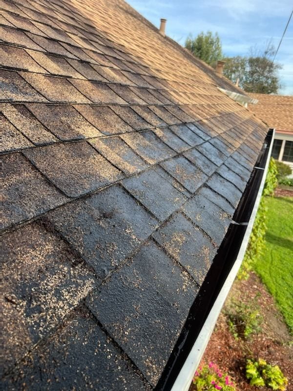 The same gutter and roof edge cleared of debris after professional gutter cleaning