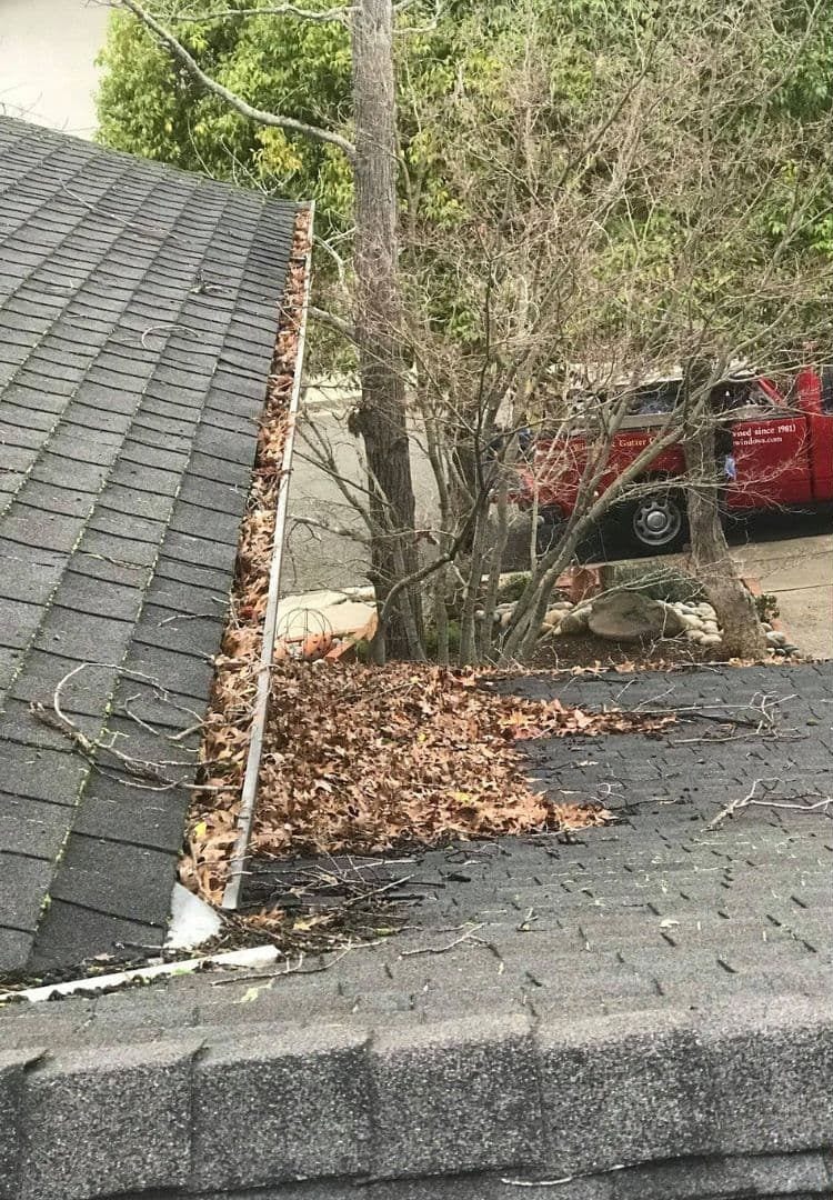Gutter and roof valley filled with dry leaves and twigs before cleaning