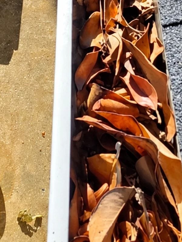 Overhead view of a white rain gutter packed with dry leaves before professional gutter cleaning