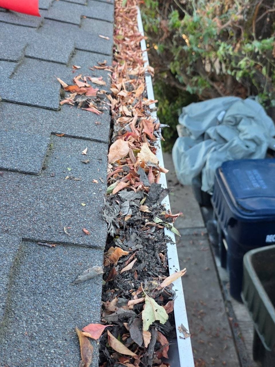 Roof edge gutter filled with leaves and debris next to a shingle roof before cleaning