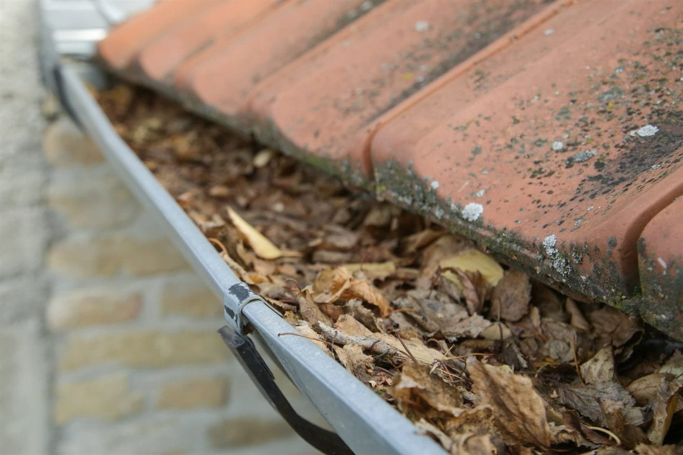 Gutter filled with leaves and debris along a clay tile roof before cleaning