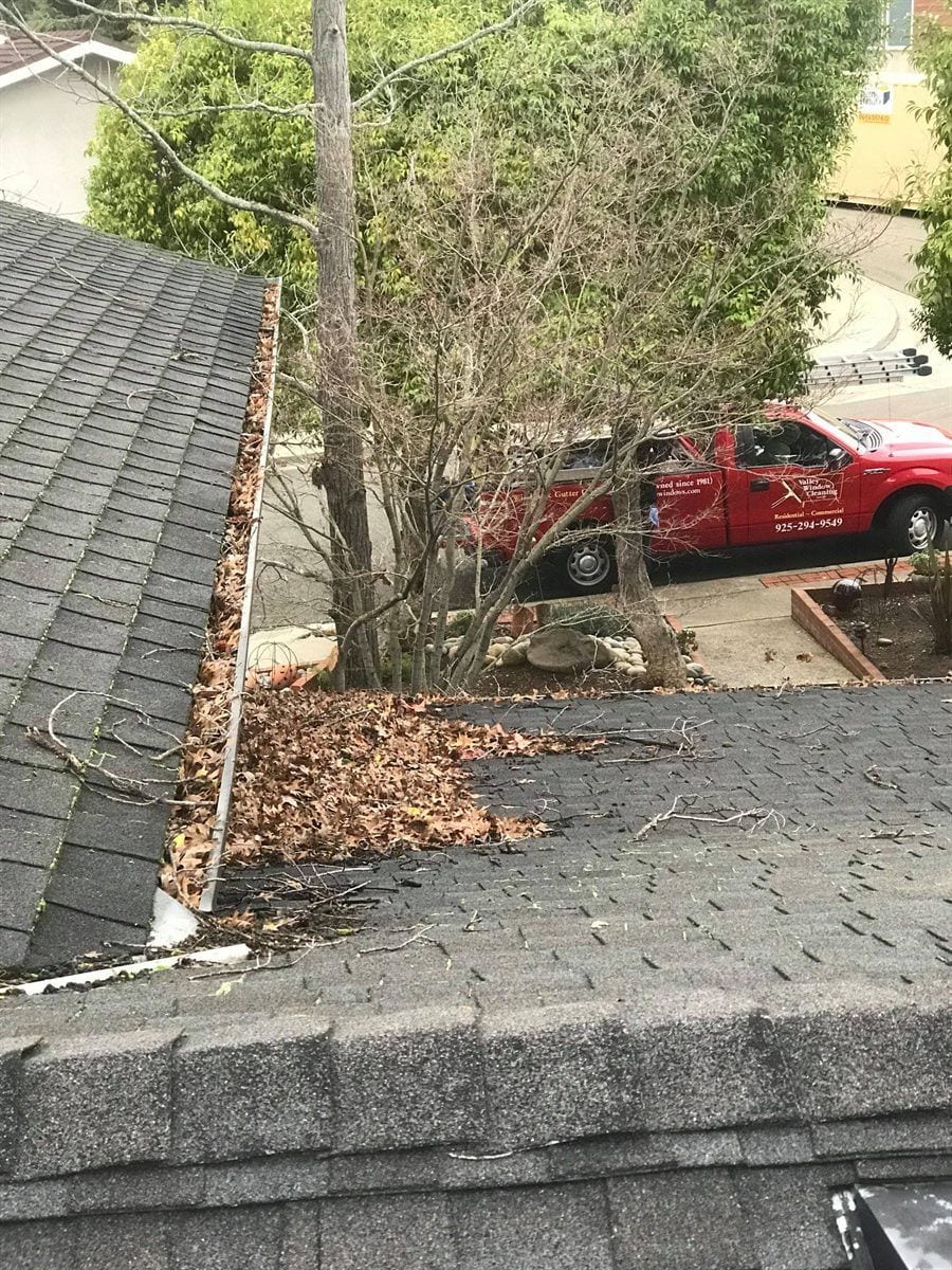 Dry leaves built up in a gutter and along a shingle roof edge